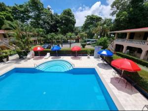 塔尔科莱斯House of the Macaws的游泳池配有红色和蓝色的遮阳伞和椅子