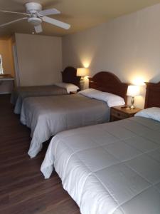 MeadAnglers Hideaway Cabins的酒店客房设有三张床和吊扇。