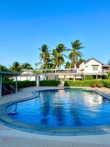 潘切Catsen Bungalows & Pool Phan Thiet的棕榈树屋前的游泳池