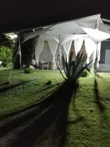 阿莫利亚尼岛Alos的夜晚在院子里的白色帐篷