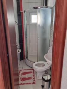 奥赫里德马斯卡斯特罗别墅酒店的一间带卫生间和淋浴的小浴室