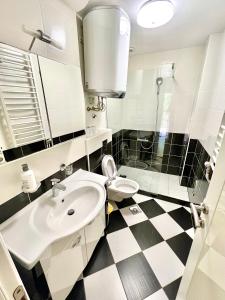 蒂瓦特Apartments Family的一间带水槽和卫生间的浴室