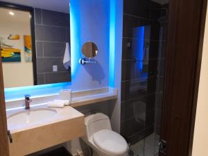 佩雷拉兹万豪华酒店的一间带水槽、卫生间和淋浴的浴室