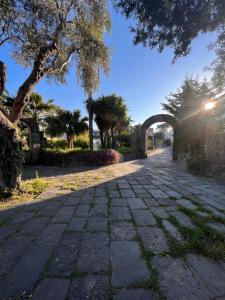伊斯基亚B&B Villa Regine的公园内一条带拱门的石路