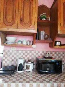 公主港Agimats Crib Palawan的厨房柜台配有烤面包机和微波炉