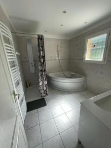 CorbelinAPPARTEMENT LE DOMAINE DES LIBELLULES PROCHE WALIBI的带浴缸、卫生间和窗户的浴室