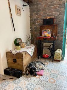 博德鲁姆卡亚膳食公寓的一只狗躺在地板上,放在带桌子的房间