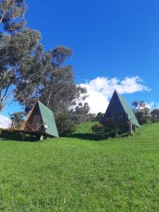 瓜斯卡ANIMALS GALMPING的田野上草原山丘上的两个帐篷