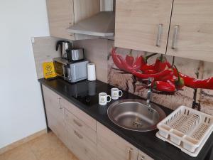 摩拉瓦托普利采Honey Apartment的厨房柜台设有水槽和微波炉