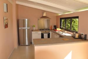 普纳奥亚Appartement Villa Taina piscine的厨房配有不锈钢冰箱和水槽