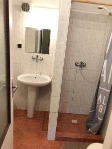 Středokluky圣普罗科帕酒店的一间带水槽和淋浴的浴室