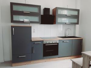 新明斯特Nordunterkunft的厨房配有灰色橱柜和炉灶烤箱