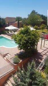 斯沃伦塔Luxury Villa Casa Maravillosa的享有树木游泳池的顶部景致