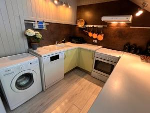 蒙特Mas de l'Estiou的厨房配有洗衣机和水槽