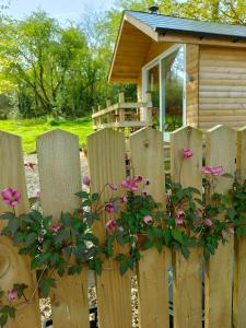兰代洛Dryw bach glamping hut的房屋前方的木栅栏,上面有粉红色的花朵