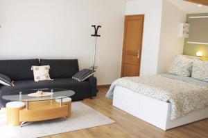 圣艾蒂安Saint Etienne : appartement Châteaucreux 40 M2的客厅配有床和茶几