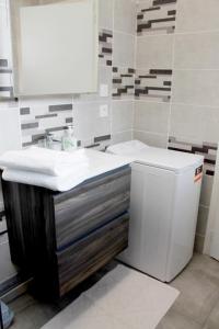 圣艾蒂安Saint Etienne : appartement Châteaucreux 40 M2的一间带水槽和卫生间的浴室