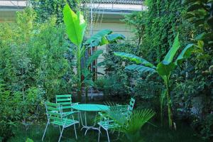 MargilanGuest House Evergreen的花园里种有植物,配有桌椅