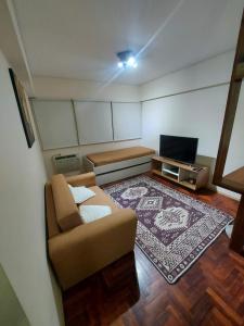 门多萨Alquiler Departamento Centro Mendoza Capital的带沙发和电视的小客厅