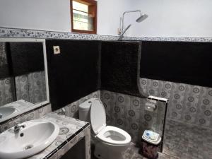 外南梦犹太民宿的一间带水槽、卫生间和镜子的浴室