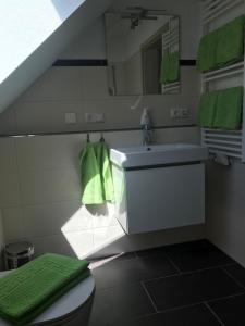 RamsbergSonniges 4 **** DG-Apartment mit Aufzug+Seeblick的浴室配有水槽、卫生间和绿毛巾。