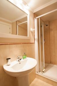 格拉纳达帕拉西奥洛佩兹达扎公寓的一间带水槽、镜子和淋浴的浴室