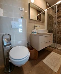 奥帕提亚Room soba u Opatiji Na Lipovici的浴室配有卫生间、盥洗盆和淋浴。
