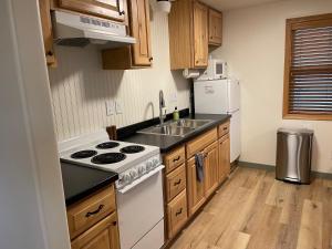 派恩代尔Pinedale Cozy Cabins的厨房配有白色炉灶和水槽
