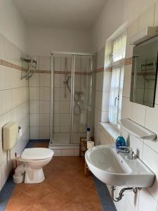 弗赖堡Ferienhaus Traminer im Weinberg的浴室配有卫生间、盥洗盆和淋浴。