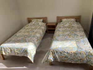 罗亚LUČI jūras apartamenti的两张睡床彼此相邻,位于一个房间里