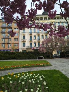 卡罗维发利中央国际酒店的建筑前带长凳的公园