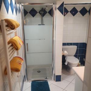 马赛AndandCo的带淋浴和卫生间的小浴室