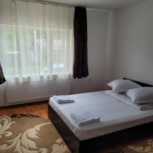 奥尔绍瓦Casa UILA的一间卧室配有一张带白色床单的床和一扇窗户。
