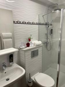 班斯卡-比斯特里察Hotel Garni Expo的带淋浴、卫生间和盥洗盆的浴室