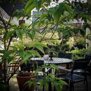 索姆河畔的圣瓦列里Maison d'hôtes du Jardin的庭院配有桌椅和植物