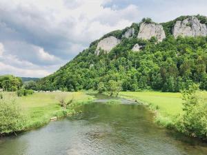 弗瑞迪根昂德唐Gasthaus Jägerhaus的山底河流