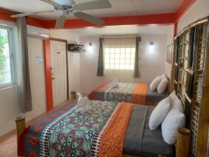 霍普金斯All Seasons Belize的一间卧室配有两张床和吊扇