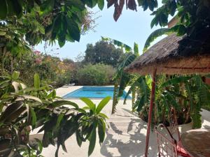 土巴迪亚劳比格博凯旅舍的一个带游泳池和草伞的度假胜地