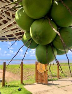 马拉戈日Condomínio Praias de Maragogi & Casas Deluxe的挂在树上的一束绿色香蕉