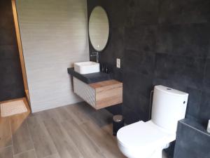 班什Veronique schouckens的一间带卫生间、水槽和镜子的浴室