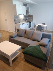 卡罗维发利Sky Thermal Apartment的带沙发和桌子的客厅以及厨房。