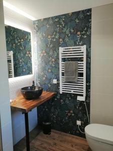萨尔拉拉卡内达chambres d’hôte le breuil的一间带水槽和卫生间的浴室