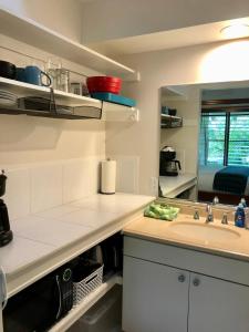 科纳大岛静养旅馆的厨房配有水槽和台面