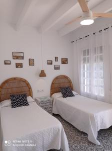 科尼尔-德拉弗龙特拉Alojamiento Rural "El Charco del Sultan"的一间卧室设有两张床和窗户。