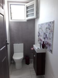 勒拉芒坦JONA APT的一间带卫生间、水槽和窗户的浴室