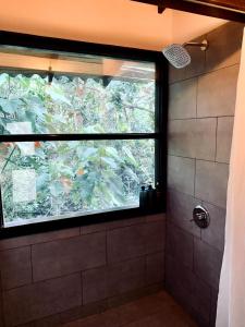 贾丁Casa NATIVO的浴室设有淋浴和大窗户