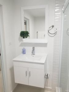圣胡安Home San Juan的白色的浴室设有水槽和淋浴。