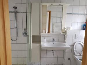 EhenbichlWei Wei's Hostel的白色的浴室设有水槽和淋浴。