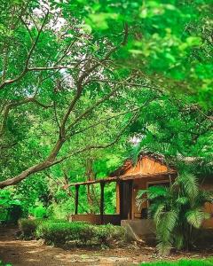 MolemNature's Nest Eco Resort Goa, Near Dudhsagar Waterfalls的森林中间的小房子