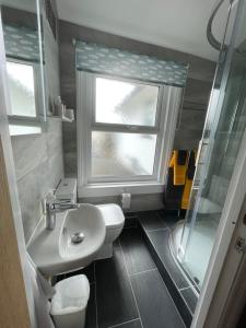 桑当Wight orchid island Hotel的一间带水槽和卫生间的浴室以及窗户。